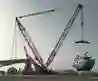 CRAWLER CRANES in EGYPT