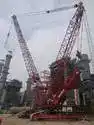 Crawler Cranes for rental in egypt